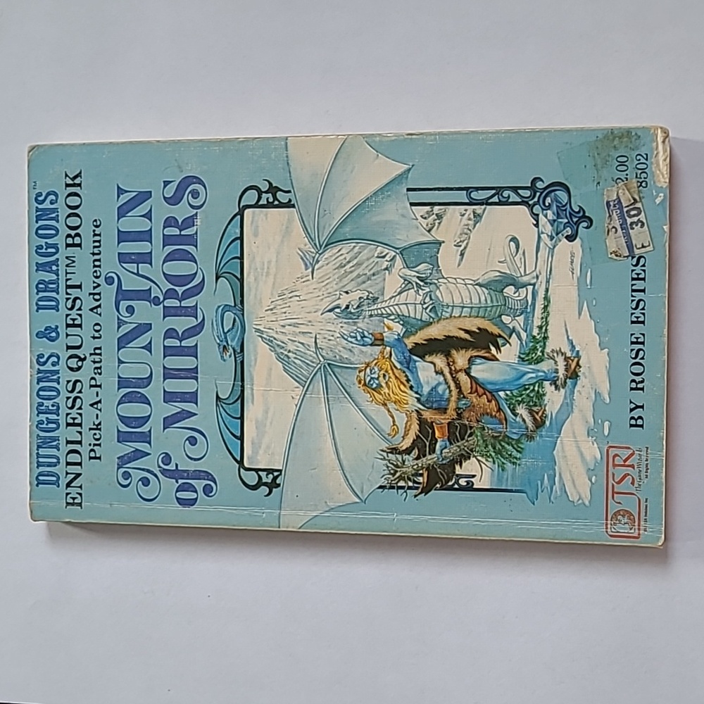 Mountain of Mirrors- Vintage Dungeons & Dragons Endless Quest Book by Rose Estes